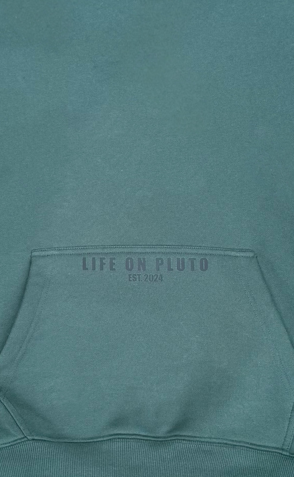 'Out Of Reach' Eden Green Heavyweight Oversized Pullover Hoodie