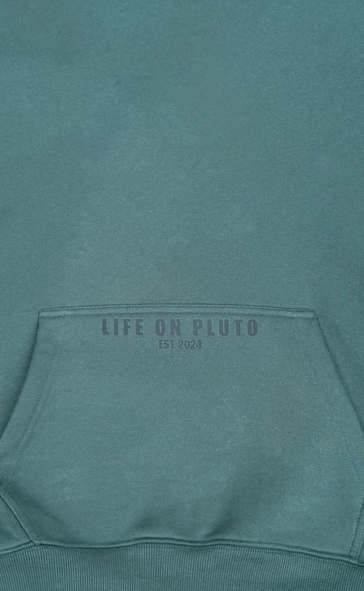 'Out Of Reach' Eden Green Heavyweight Oversized Pullover Hoodie