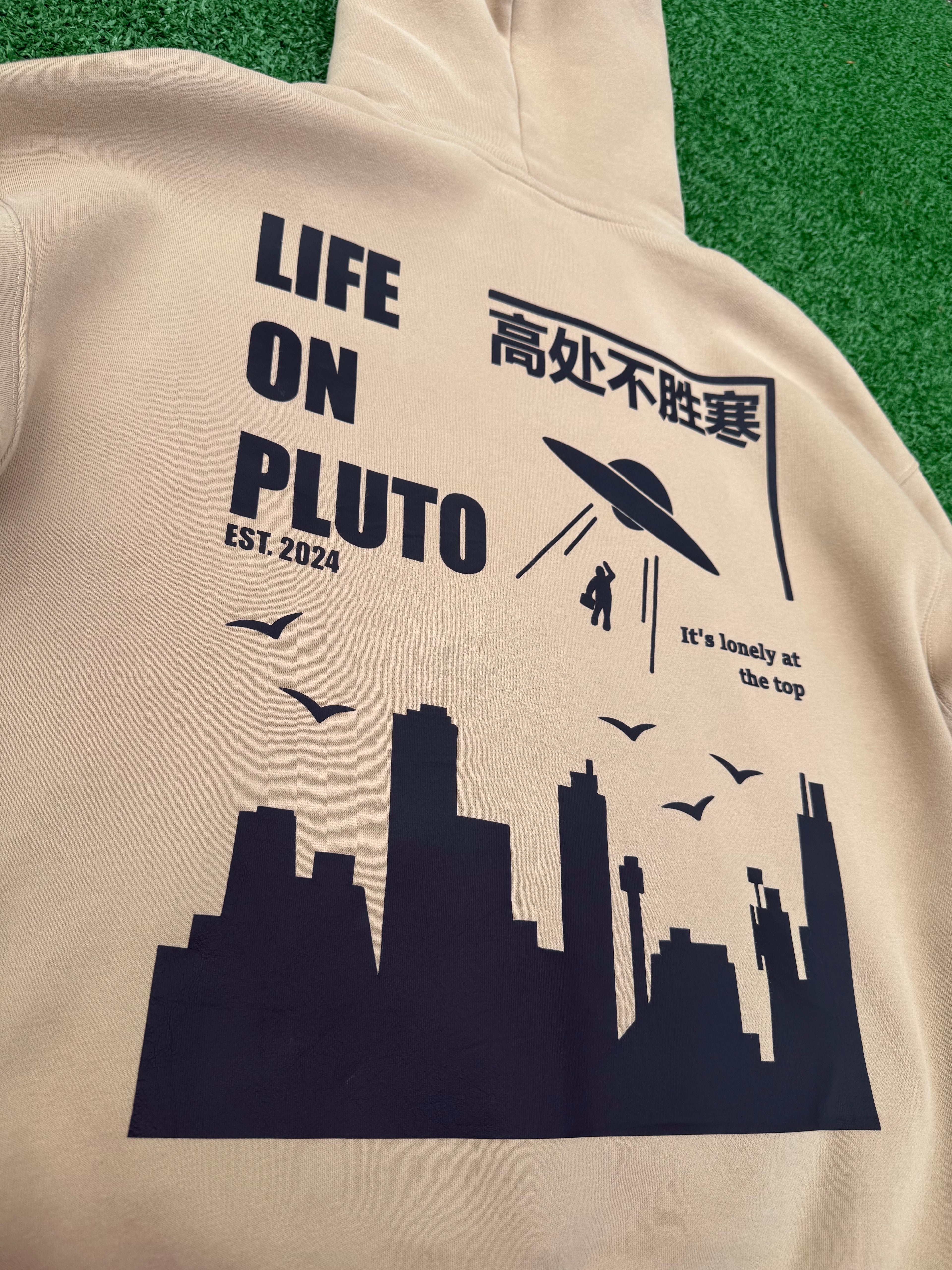'It's Lonely At The Top' Heavyweight Oversized Pullover Hoodie